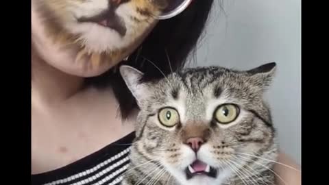 Cat : What's wrong with your face mommy? 🙀