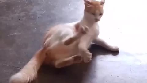 Autodefense mode! 🤣🤣🤣
