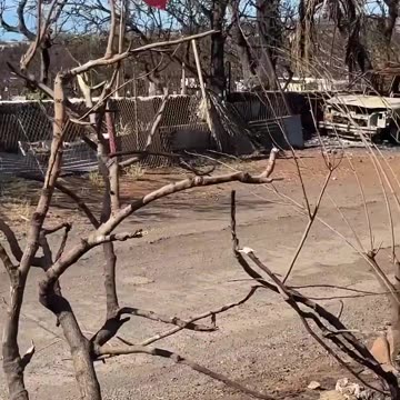 Hawaii Real Estate - Another Maui Fire Mystery