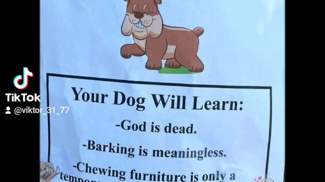 Nihilism Obdience School #humor #meme #funny #memes #dog #dogsfunny #dogsfunnyvideo