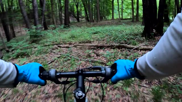 Lil MTB ride and a chat