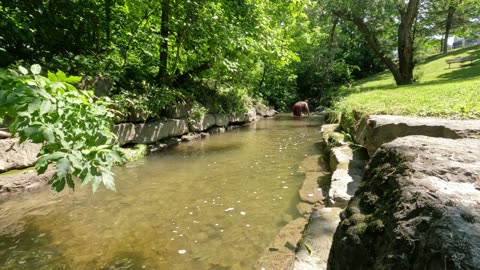 ☀️ In My Natural Habitat 🌊 Cleaning Every Creek & River🌴 In Ottawa 🍁 Canada 🌳