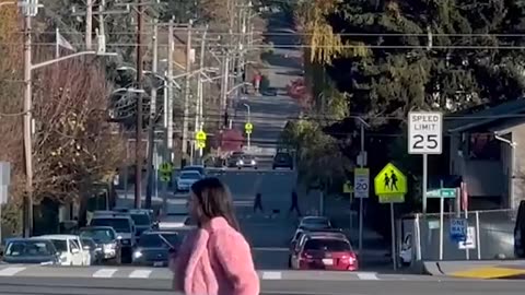 Seattle Street Walkers