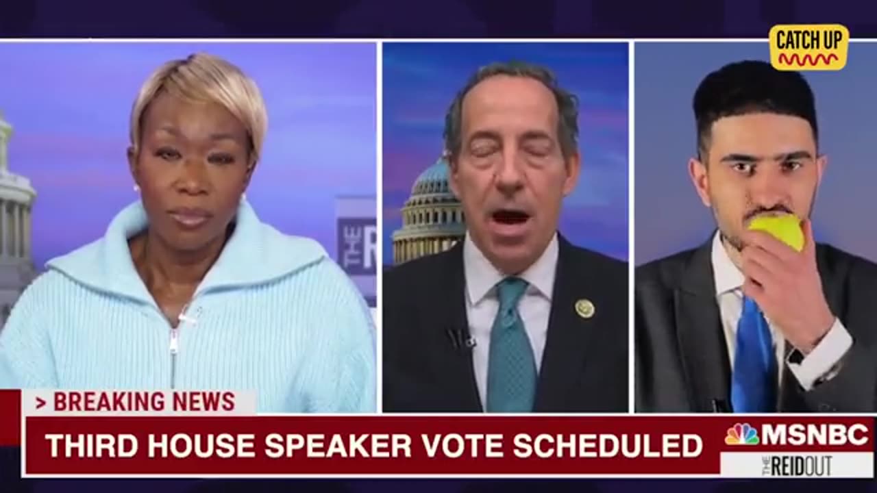CatchUpFeed - Jamie Raskin and Joy Reid get called out and told what's what.