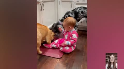 Adorable babies playing with dogs-Funny animal and babies videos|| just fun