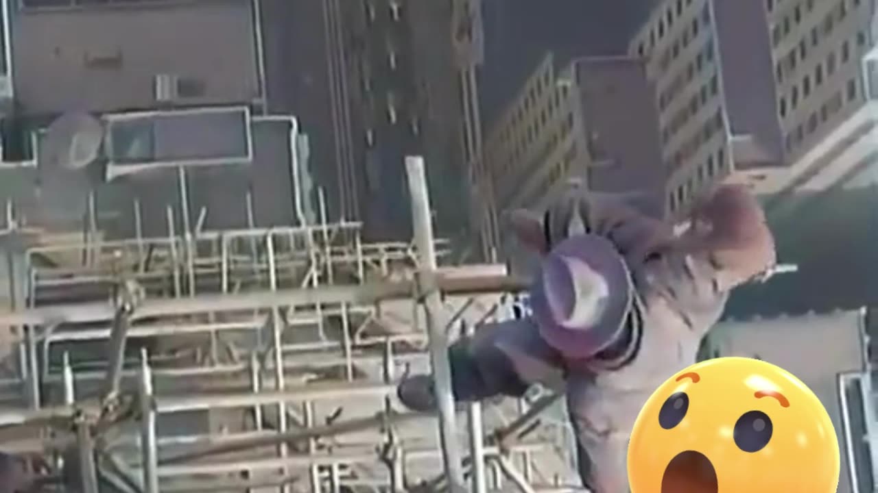 TRABALHADORES "RAIZ" | Roots workers