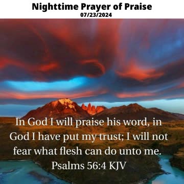 Nighttime Prayer of Praise #youtubeshorts #grace #jesus #mercy #faith #fyp #bless #trust #love #joy