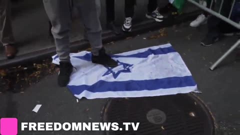 Hamas supporters STOMP and try to BURN Israel flag in NYC