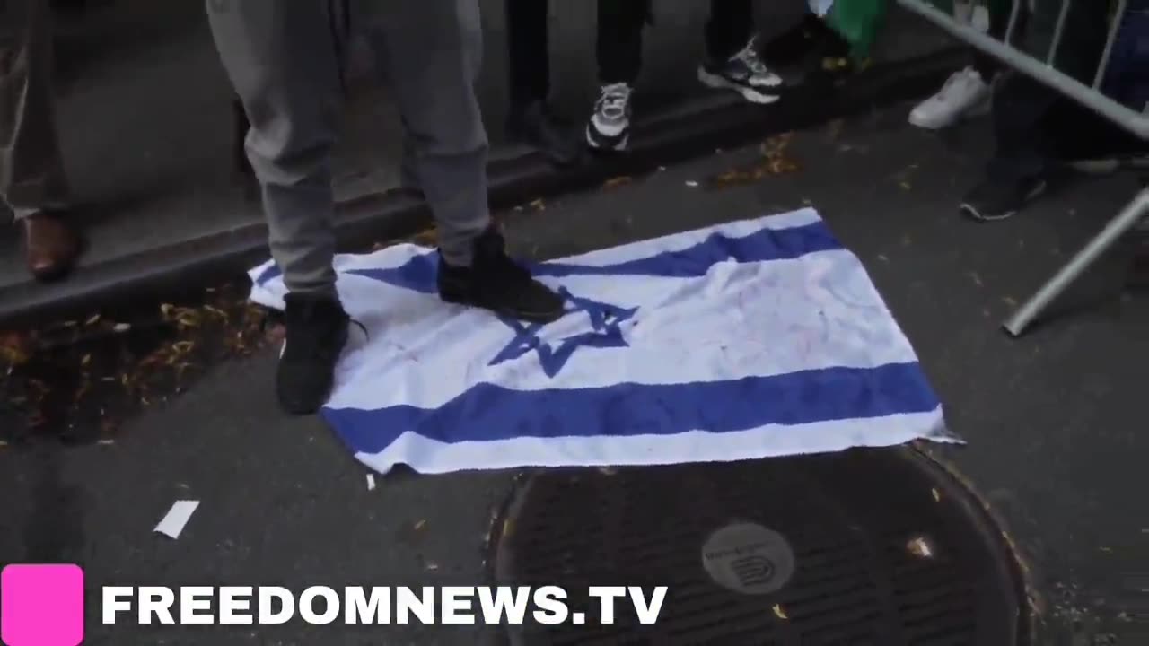 Hamas supporters STOMP and try to BURN Israel flag in NYC