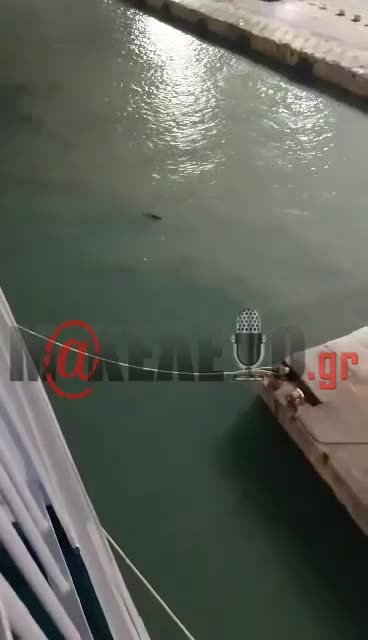 Πειραιάς Blue Horizon