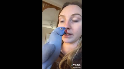 Funny Animal Videos 2022 😂 - Funniest Cats And Dogs Video 😺😍