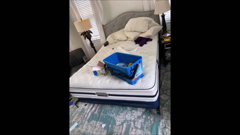 Maggy’s Cleaning - (754) 246-4637