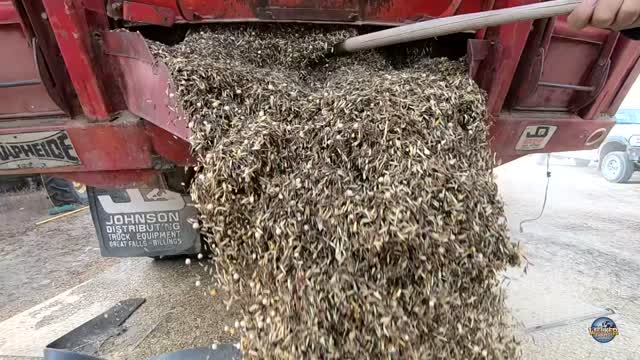 Pea'n and Grease'n - GCS Grain Cleaner Part 2 - Welker Farms Inc