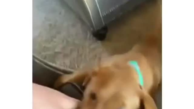 he waited for a second there 😂