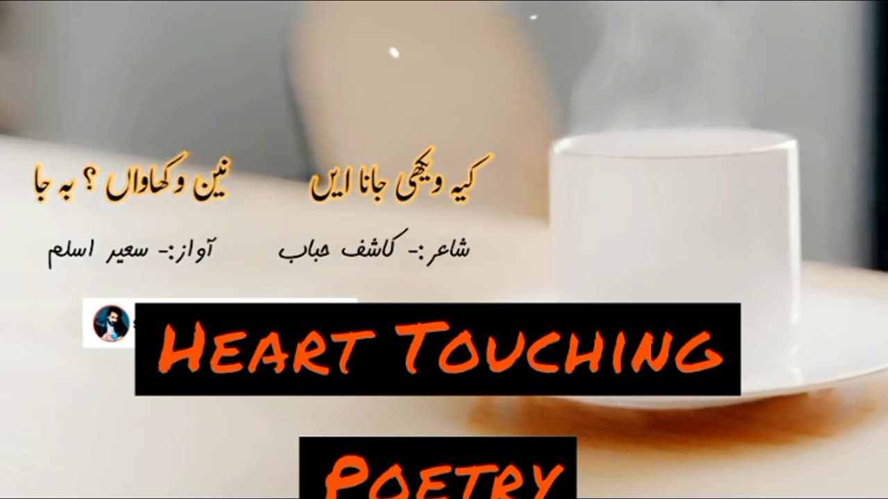 Heart Touching Lines ||Punjabi Poetry