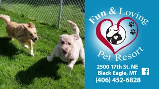 Fun & Loving Pet Resort