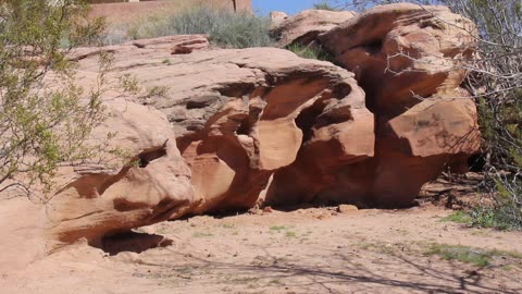 Treasure Expeditions: Terri explores the historic silver mining town of Silver Reef, Utah