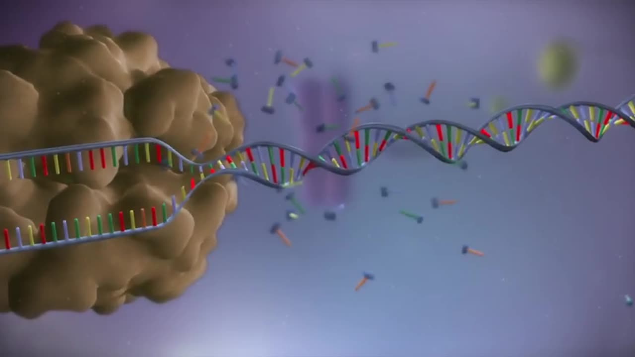 from DNA to protein - 3d video Dr.sharma #protein #DNA #RNA #docter