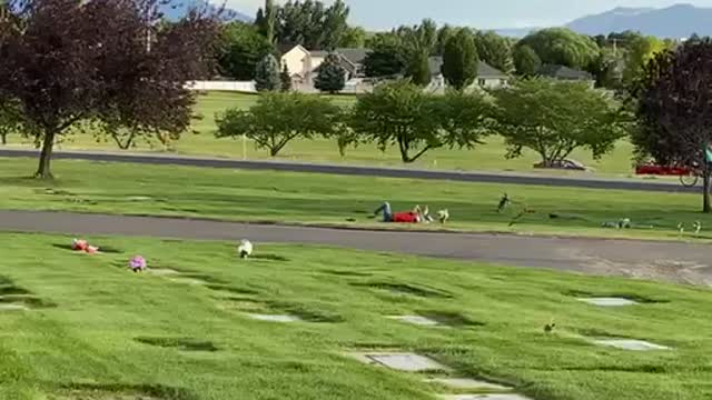 Mom Going Fast Down Steep Hill in Cemetery Wrecks Around Tight Corner
