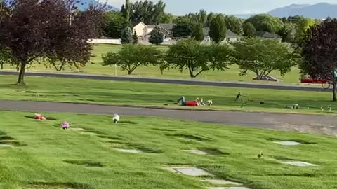 Mom Going Fast Down Steep Hill in Cemetery Wrecks Around Tight Corner