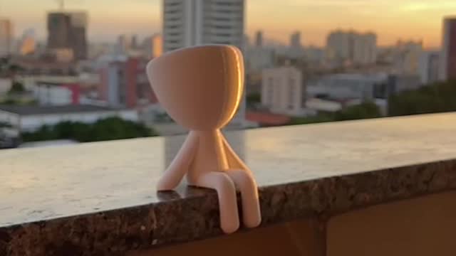 Little Guy in Sunset