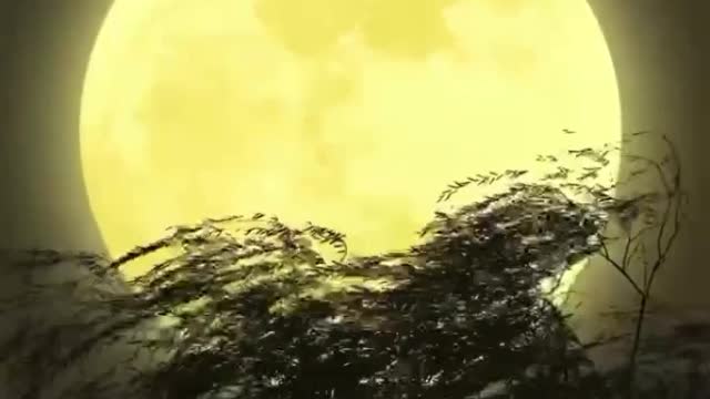 I thought about you when it was raining