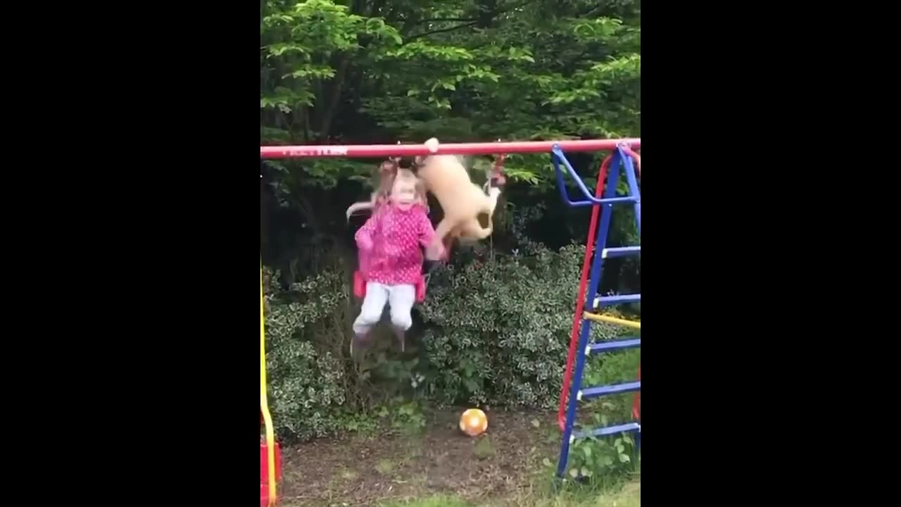 Funny Animals Comp. 1 π New Funny Cat Videos and Funny Dog Videos πΊπΆ