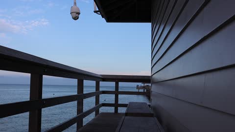 Naples Pier Video Stock