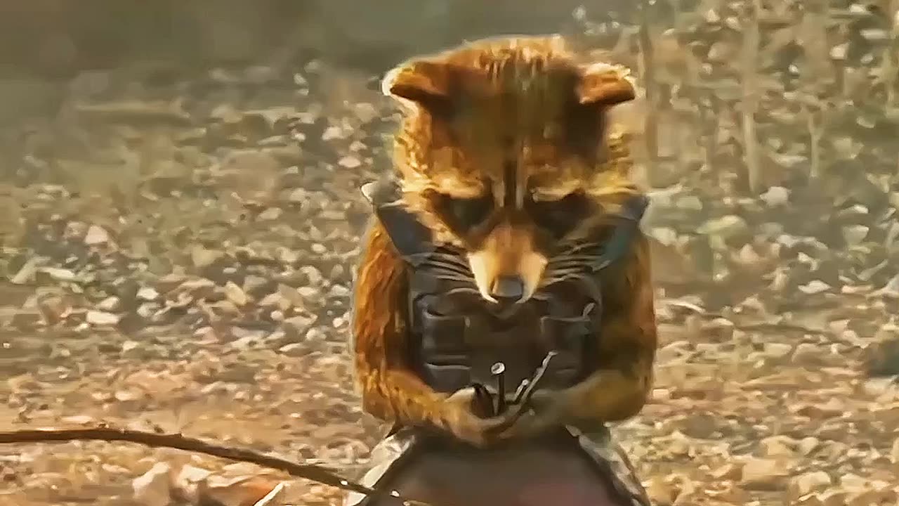 Rocket raccoon sad story.....😭