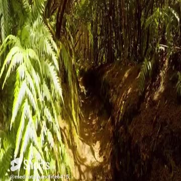 Meditation teaches the value of patience and consistency #shorts #rain #shorts#meditation