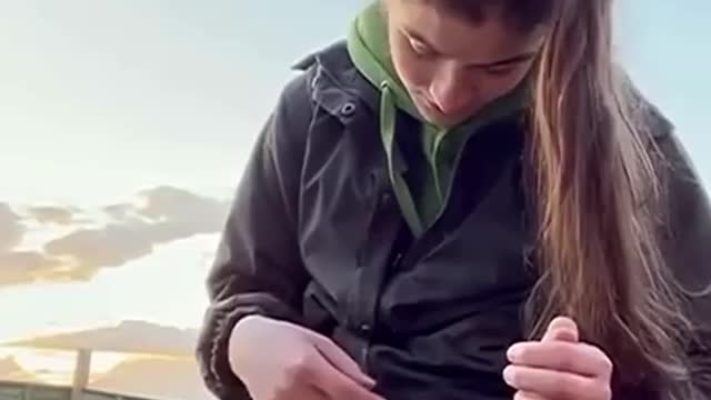 Grateful Animals
