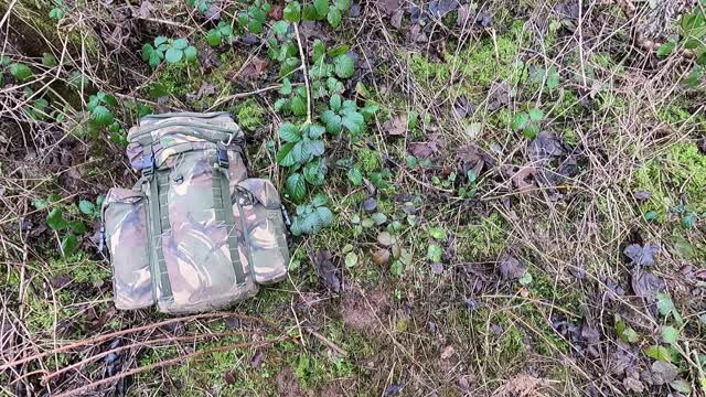 Covered up my emergency poo hole. left no trace