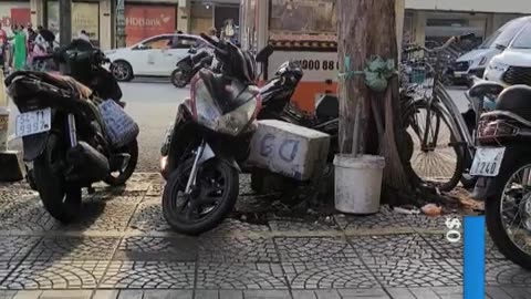 fatty demon pig - 2024 - November 19th part 001