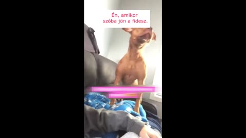 Amikor szóba kerül a fidesz, megbasz az ideg