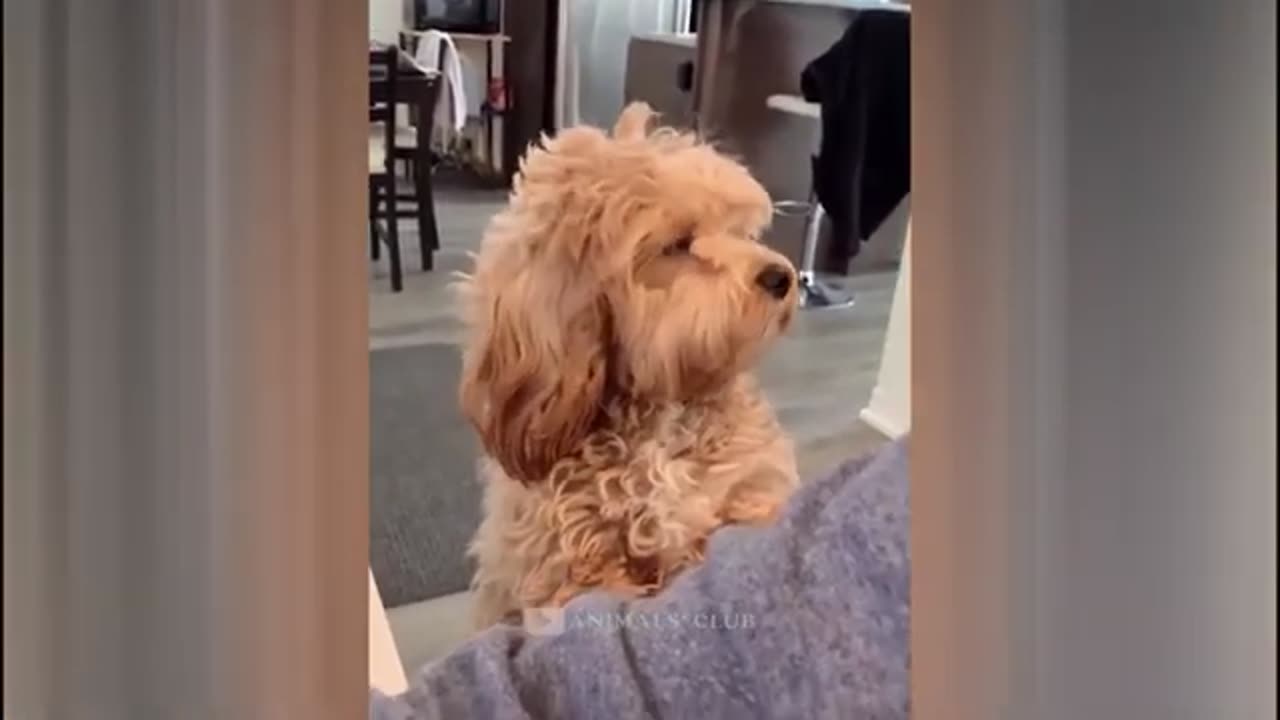 JUST WATCH....
