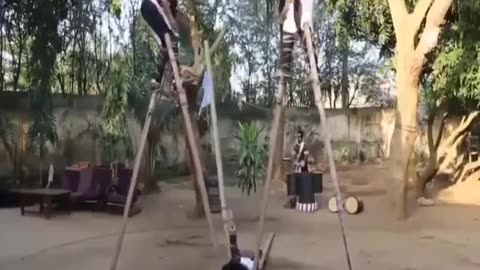 Amazing funny clip, how can they stand up with long legs.