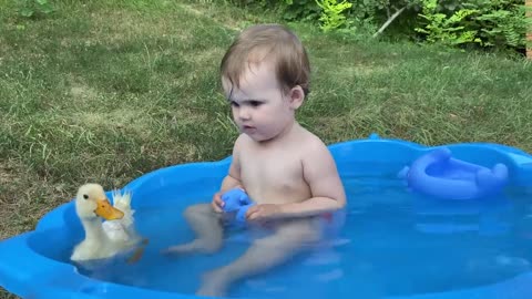 Funny baby reaction to duckling in the pool