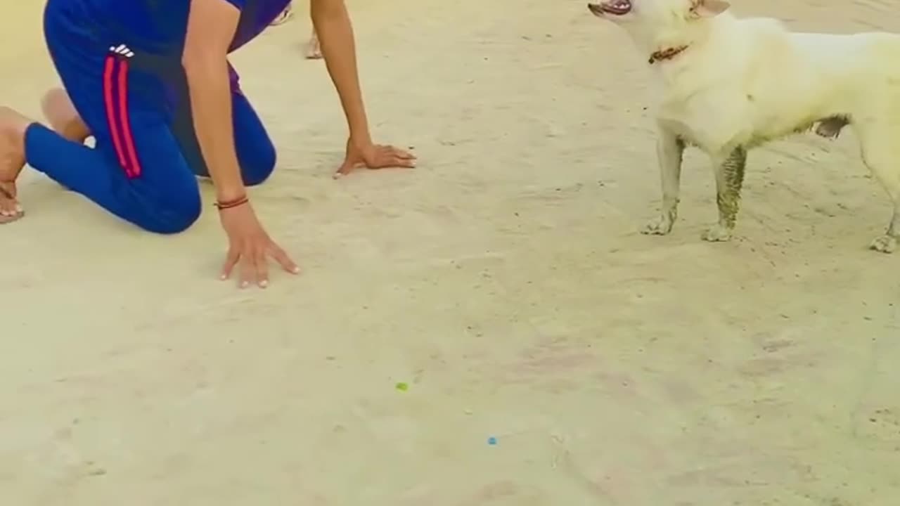Funny dog prank 😂😂 #funny #memes #funnydog #prank #trending #viral