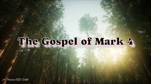 The Gospel of Mark 4