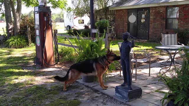 Jules not sure about little man