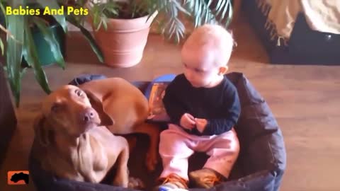 Funny baby and dog