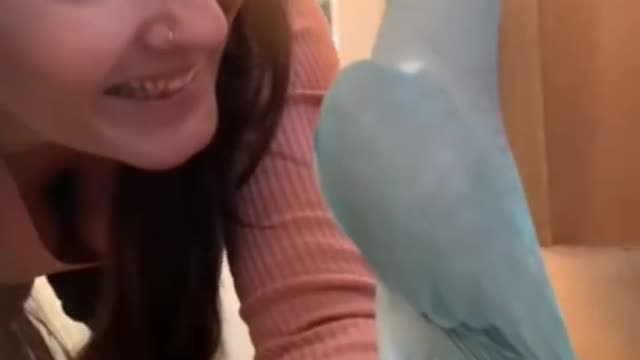 A blue Chicken talking Beautiful Girls