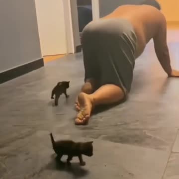 My dad became the father of my cats | Try Not Laugh