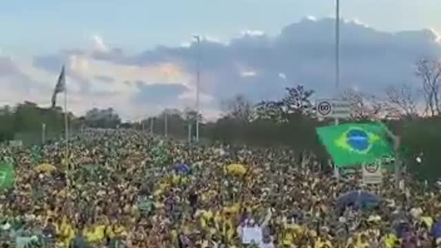 Manifestações Brasília 9 - DF - 13/11/2022