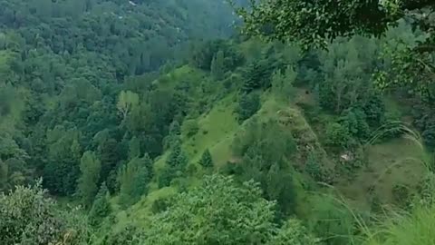 Beauty of kashmir