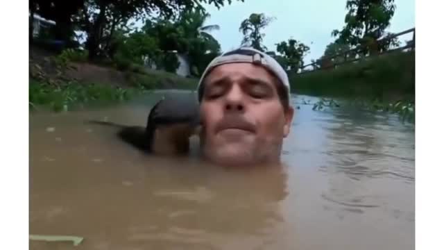 Frank Cuesta goes swimming and is greeted by a very curious river otter.