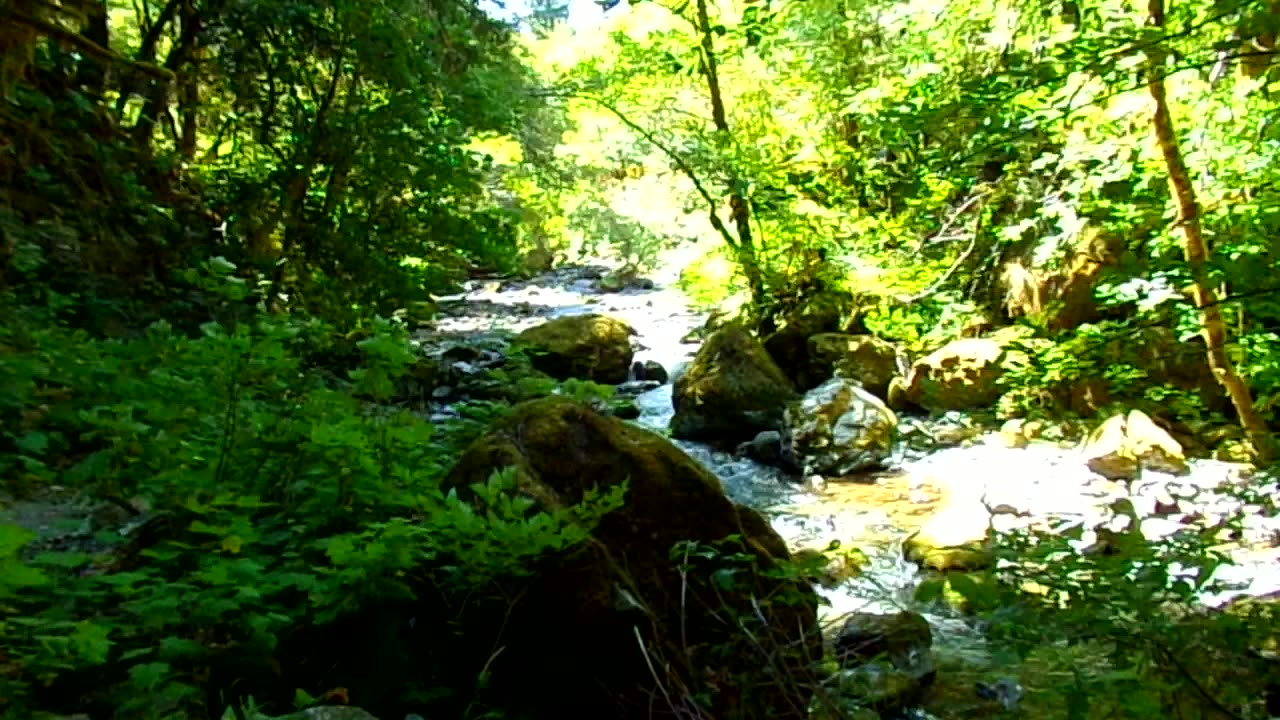 My trip into the wilderness, down stream 7/15/23: