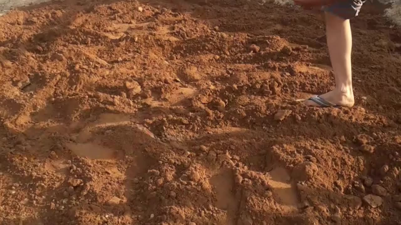 Physical workout at farmhouse