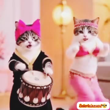 Viral🔥 funny😝 video