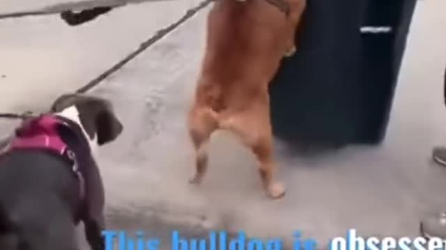 Omg this is too funny 🤩🤣